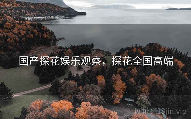 国产探花娱乐观察，探花全国高端