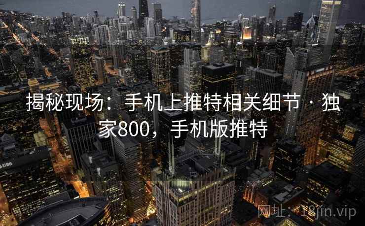 揭秘现场：手机上推特相关细节 · 独家800，手机版推特